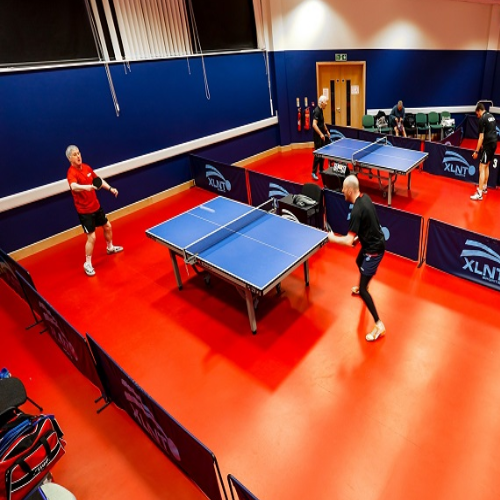 Table Tennis Synthetic Floor